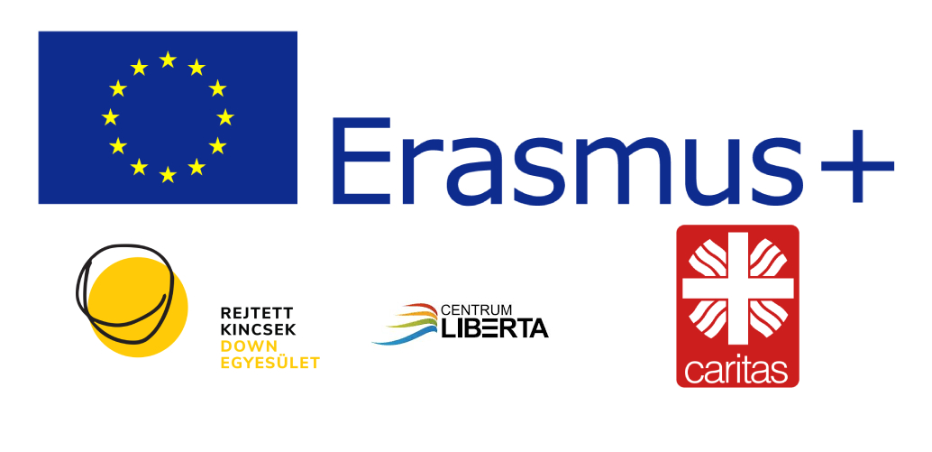 Erasmus banner